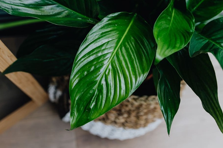 10x Dit zijn de best gelezen tips en weetjes van 2020