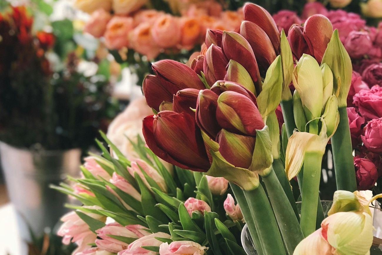 Tips om je bloemen langer vers te houden
